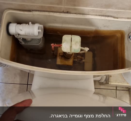 מיכל אסלה פתוח עם מנגנון פנימי